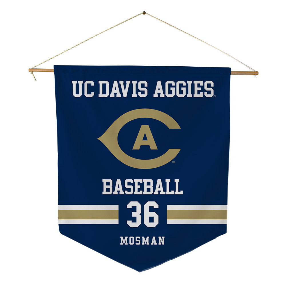 UC Davis - NCAA Baseball : Logan Mosman - Pennant - 18" x 21"-0