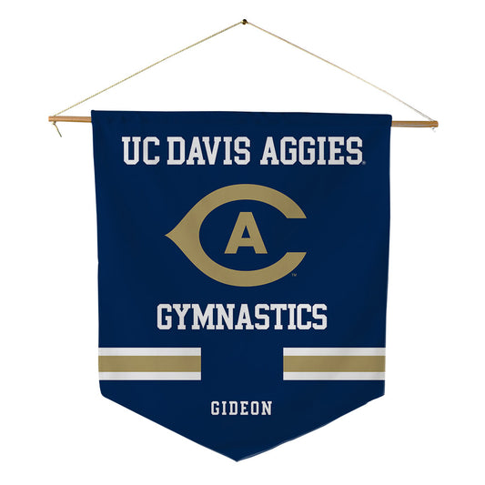 UC Davis - NCAA Women's Gymnastics : Milla Gideon - Pennant - 18" x 21"-0