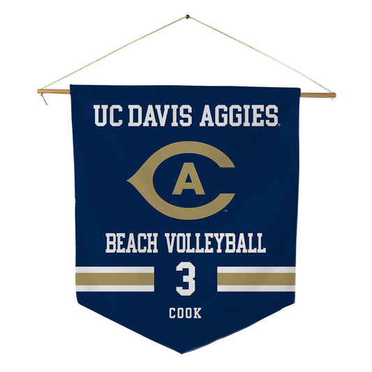 UC Davis - NCAA Beach Volleyball : Reagan Cook - Pennant - 18" x 21"-0