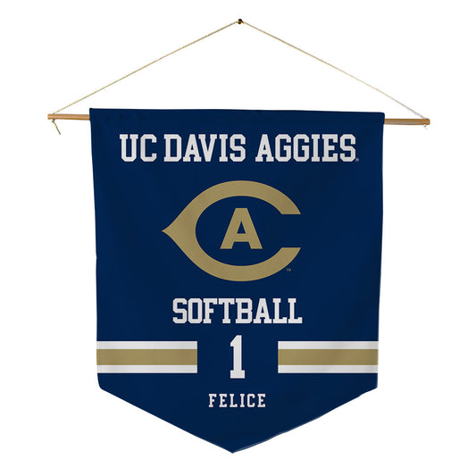 UC Davis - NCAA Softball : Gia Felice - Pennant - 18" x 21"-0