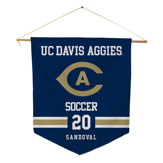 UC Davis - NCAA Women's Soccer : Karla Sandoval - Pennant - 18" x 21"-0