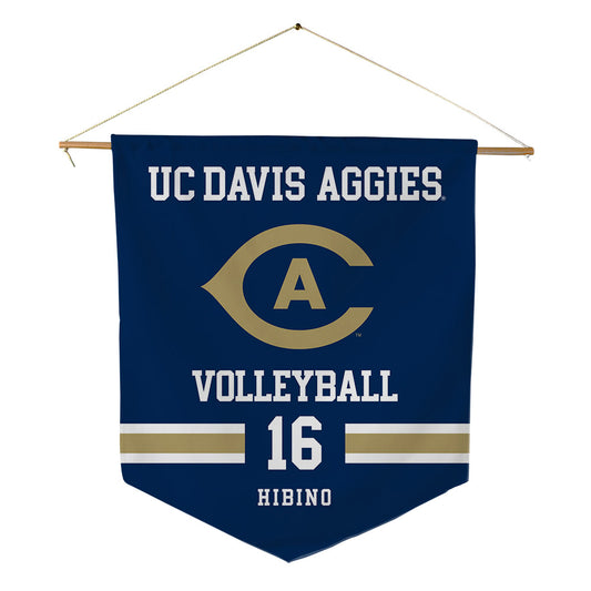 UC Davis - NCAA Women's Volleyball : Brooke Hibino - Pennant - 18" x 21"-0
