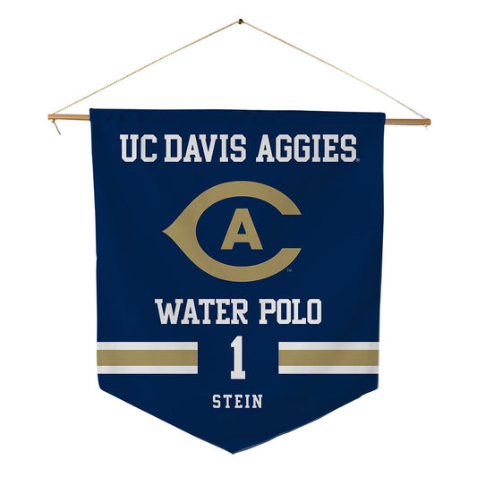 UC Davis - NCAA Women's Water Polo : Eva Stein - Pennant - 18" x 21"-0