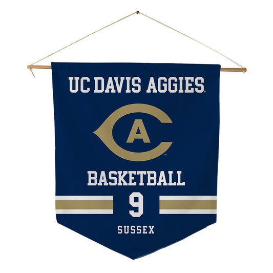 UC Davis - NCAA Women's Basketball : Avery Sussex - Pennant - 18" x 21"-0