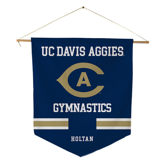 UC Davis - NCAA Women's Gymnastics : Anna Holtan - Pennant - 18" x 21"-0