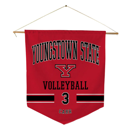 Youngstown State - NCAA Women's Volleyball : Natalie Carr - Pennant - 18" x 21"-0