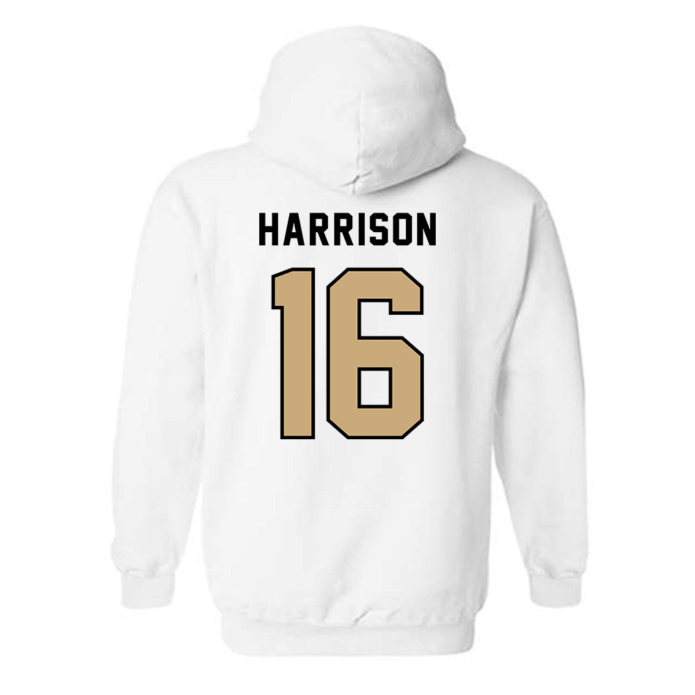 Anderson - NCAA Baseball : Braeden Harrison - Classic Shersey Hooded Sweatshirt-1