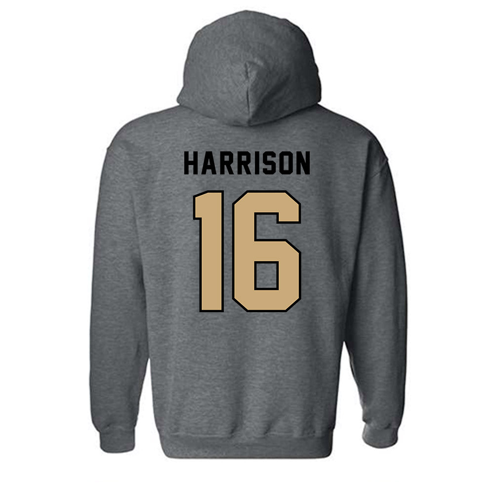 Anderson - NCAA Baseball : Braeden Harrison - Classic Shersey Hooded Sweatshirt-1