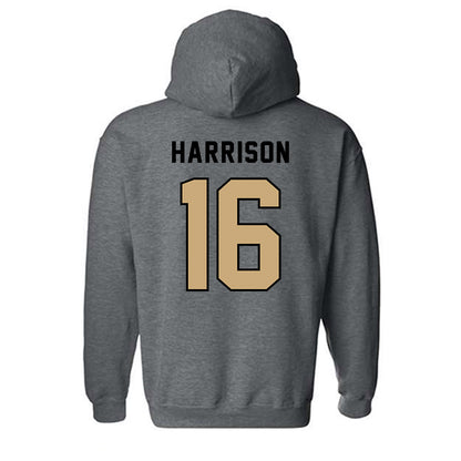 Anderson - NCAA Baseball : Braeden Harrison - Classic Shersey Hooded Sweatshirt-1