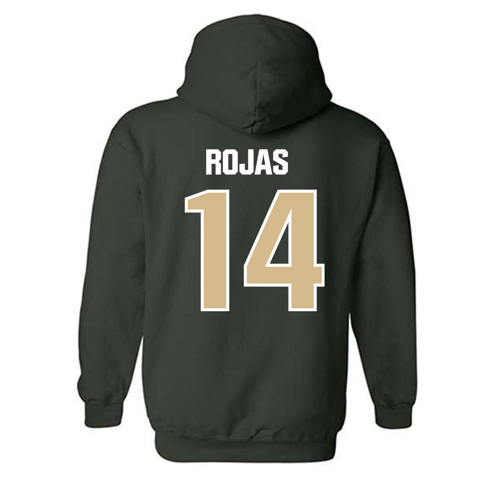 GCC - NCAA Men's Soccer : Cesar Rojas - Classic Shersey Hooded Sweatshirt-1