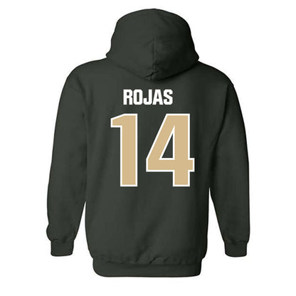 GCC - NCAA Men's Soccer : Cesar Rojas - Classic Shersey Hooded Sweatshirt-1