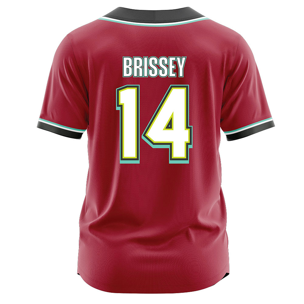 Arkansas - NCAA Baseball : Mark Brissey - Jersey-1