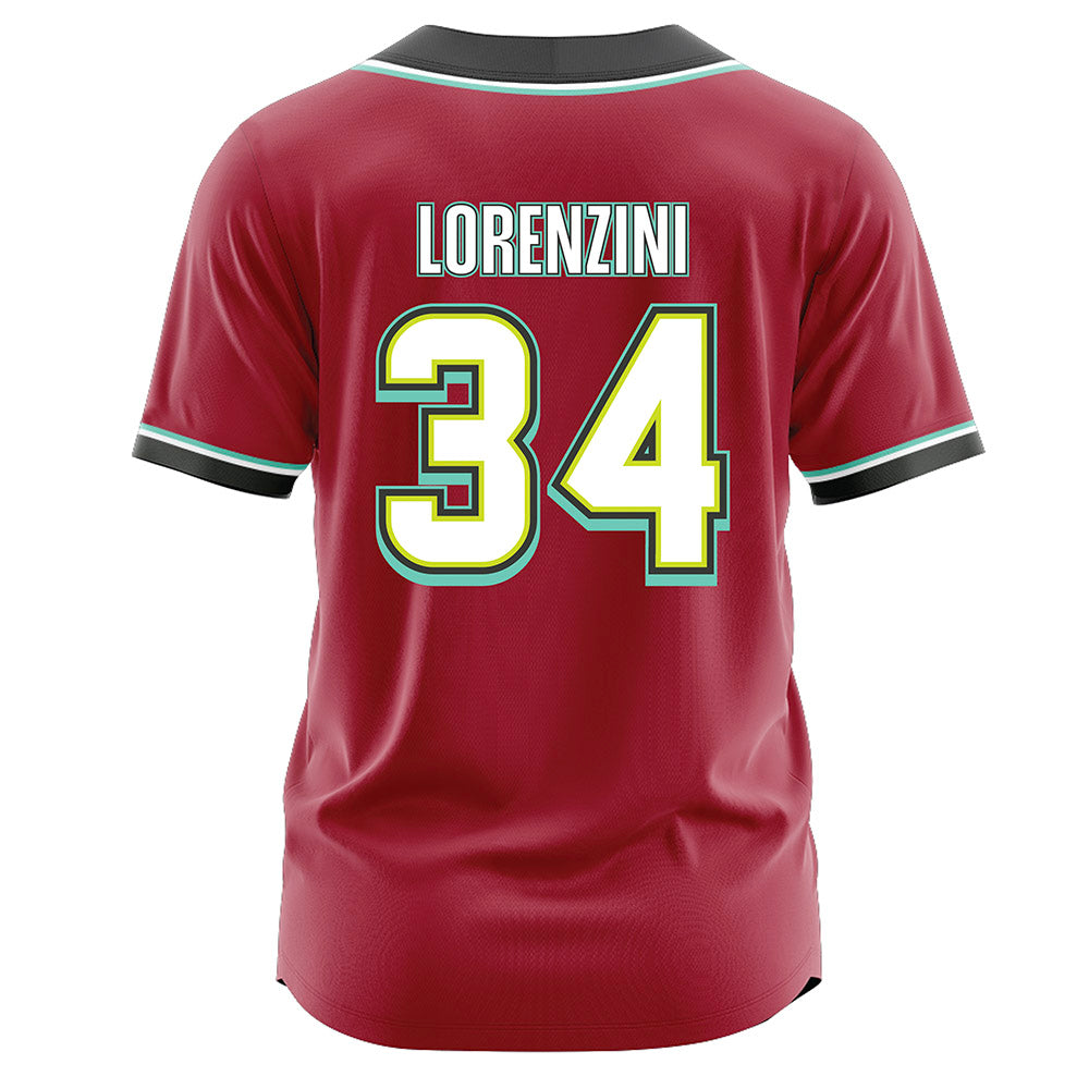 Arkansas - NCAA Baseball : Joey Lorenzini - Jersey-1