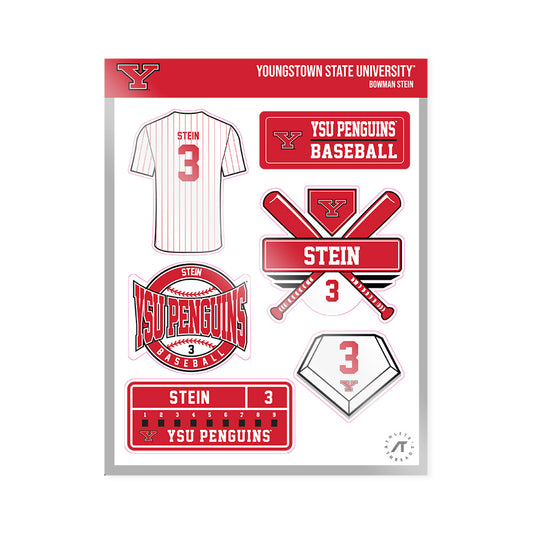Youngstown State - NCAA Baseball : Bowman Stein - Sticker Sheet-0