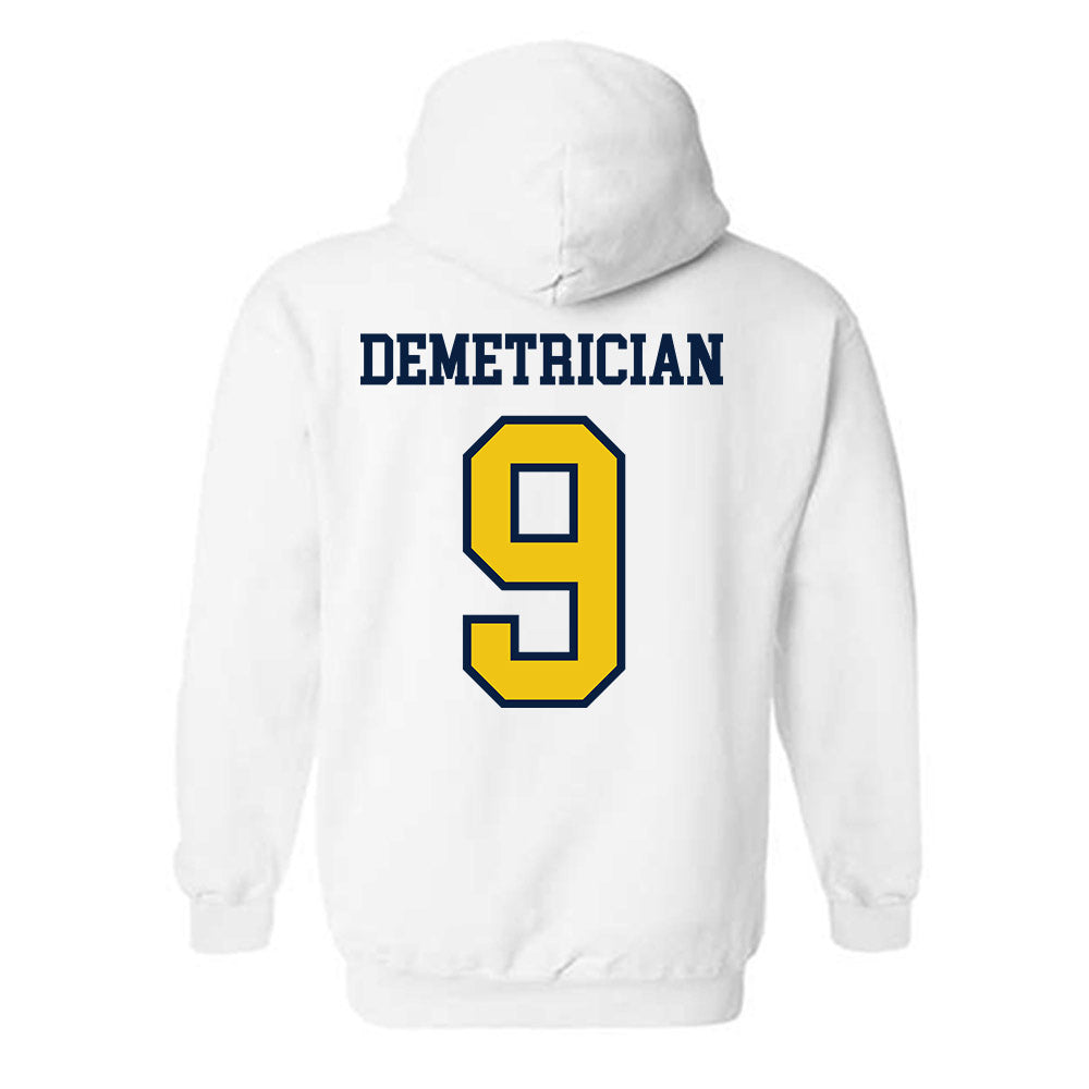 Michigan - NCAA Women's Volleyball : Ella Demetrician - Classic Shersey Hooded Sweatshirt-1
