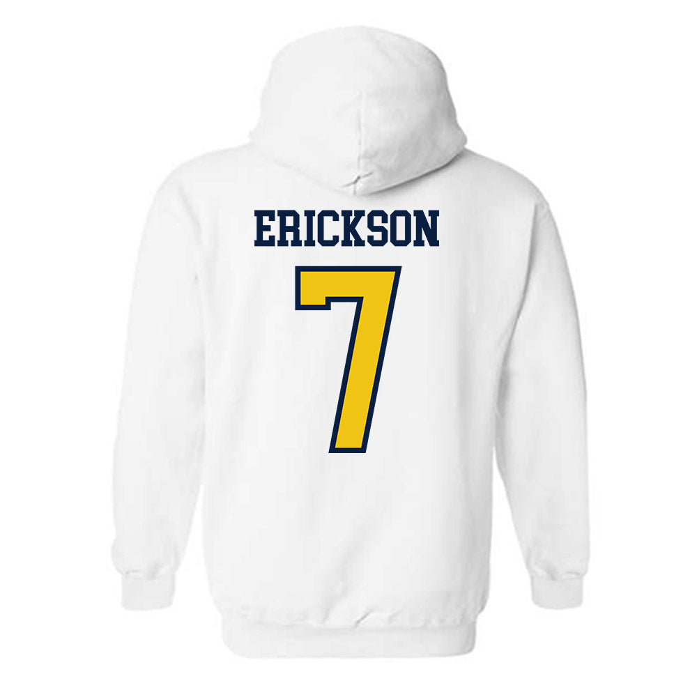 Michigan - NCAA Softball : Maddie Erickson - Classic Shersey Hooded Sweatshirt-1