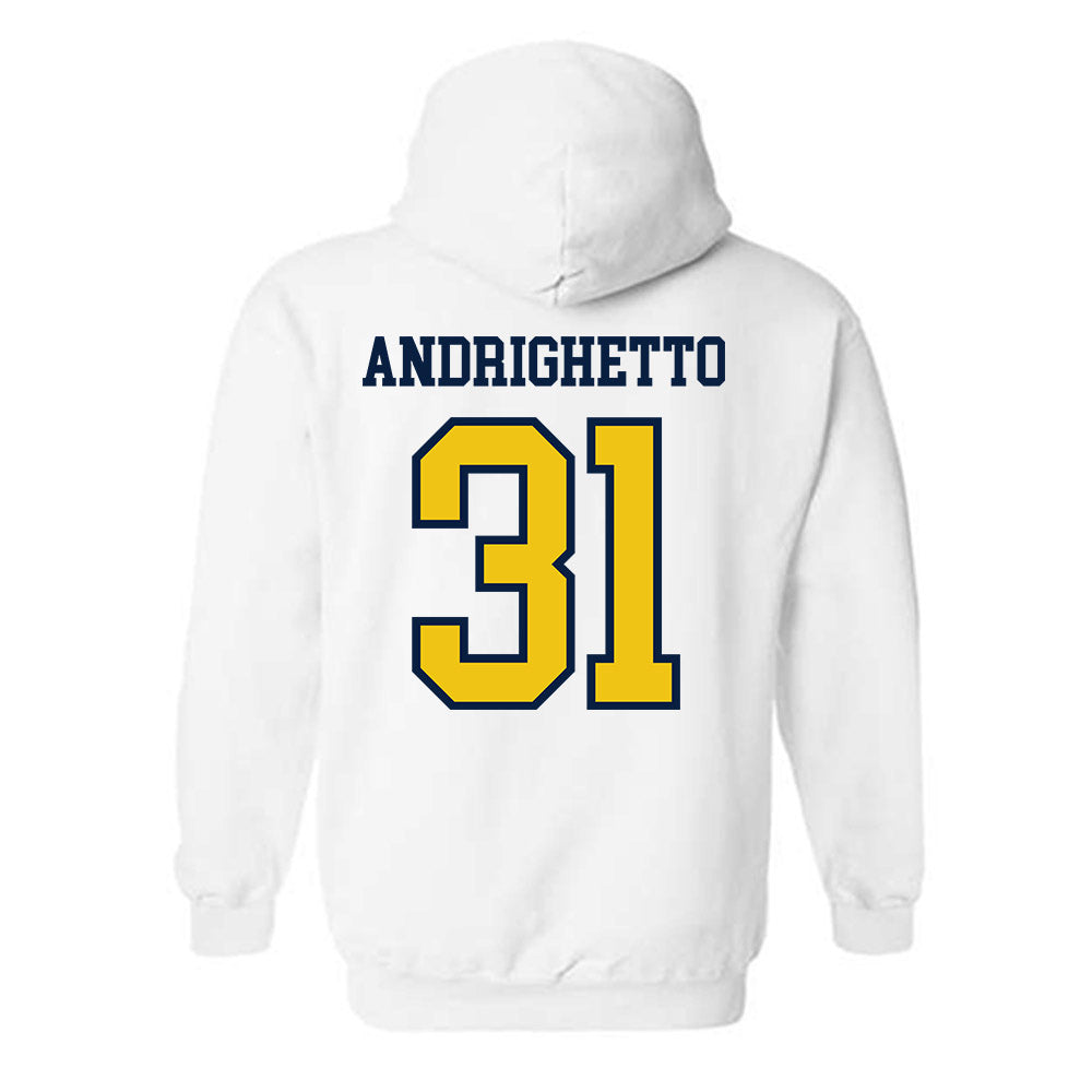 Michigan - NCAA Football : Nico Andrighetto - Classic Shersey Hooded Sweatshirt-1