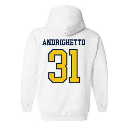Michigan - NCAA Football : Nico Andrighetto - Classic Shersey Hooded Sweatshirt-1