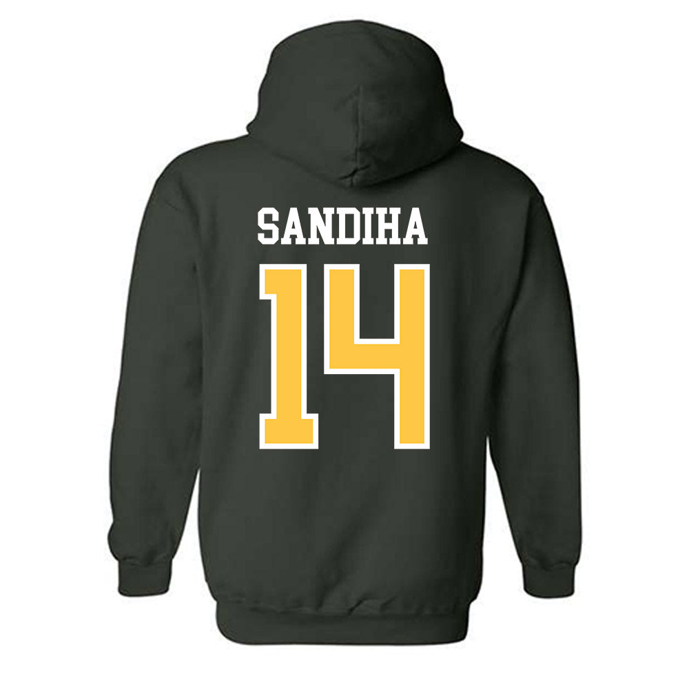 Wayne State - NCAA Baseball : Nick Sandiha - Classic Shersey Hooded Sweatshirt-1