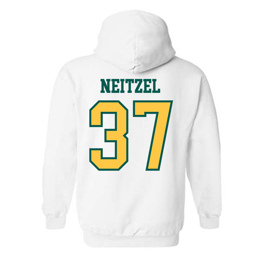 Wayne State - NCAA Baseball : Bryce Neitzel - Classic Shersey Hooded Sweatshirt-1