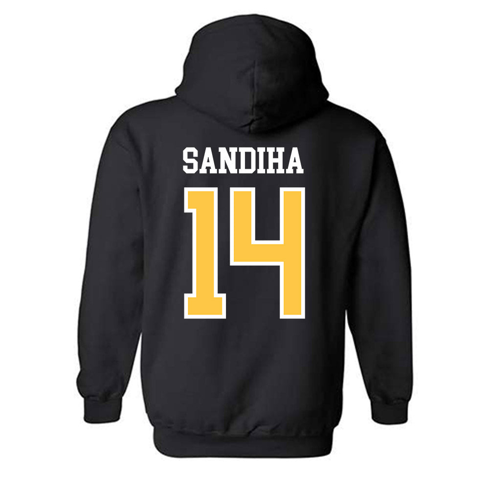 Wayne State - NCAA Baseball : Nick Sandiha - Classic Shersey Hooded Sweatshirt-1