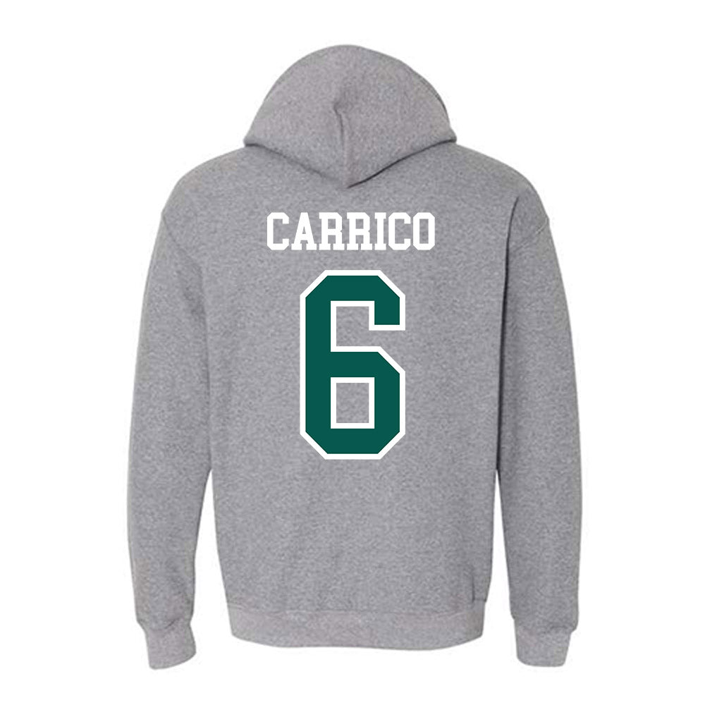 Wayne State - NCAA Women's Soccer : Kate Carrico - Classic Shersey Hooded Sweatshirt-1