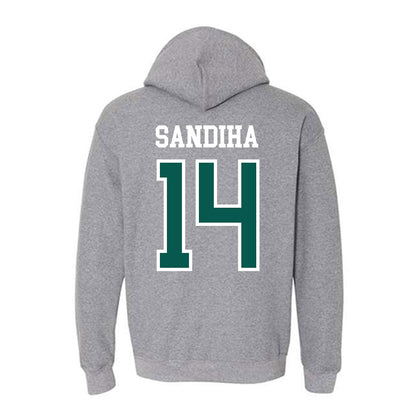Wayne State - NCAA Baseball : Nick Sandiha - Classic Shersey Hooded Sweatshirt-1