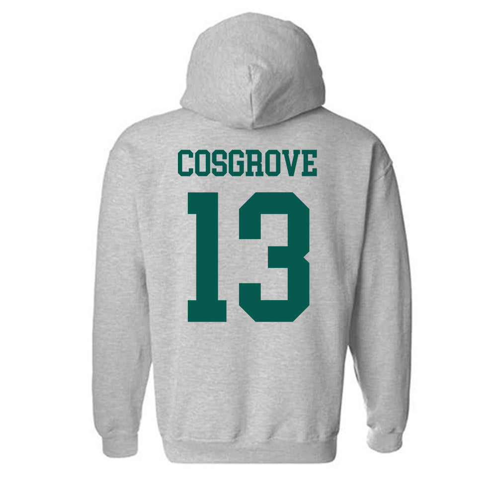 Wayne State - NCAA Softball : Addison Cosgrove - Classic Shersey Hooded Sweatshirt-1