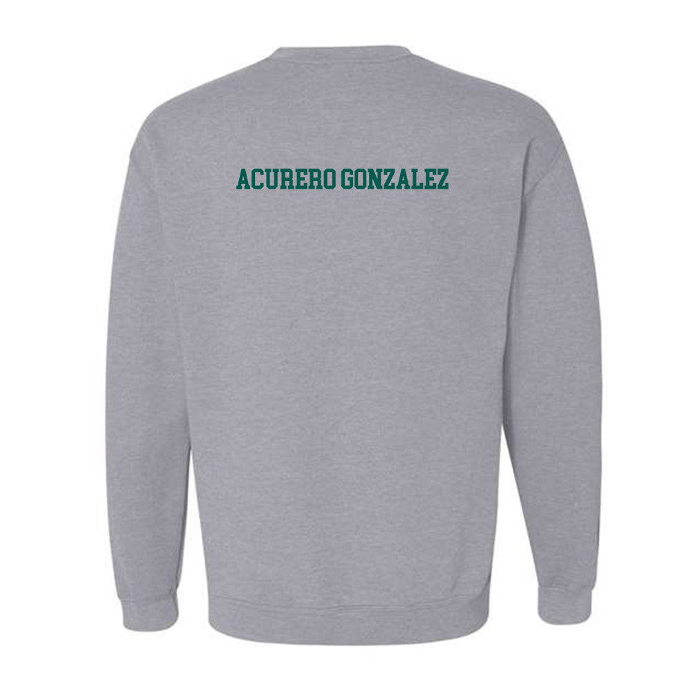 Wayne State - NCAA Women's Fencing : Anabella Acurero Gonzalez - Classic Shersey Crewneck Sweatshirt-1