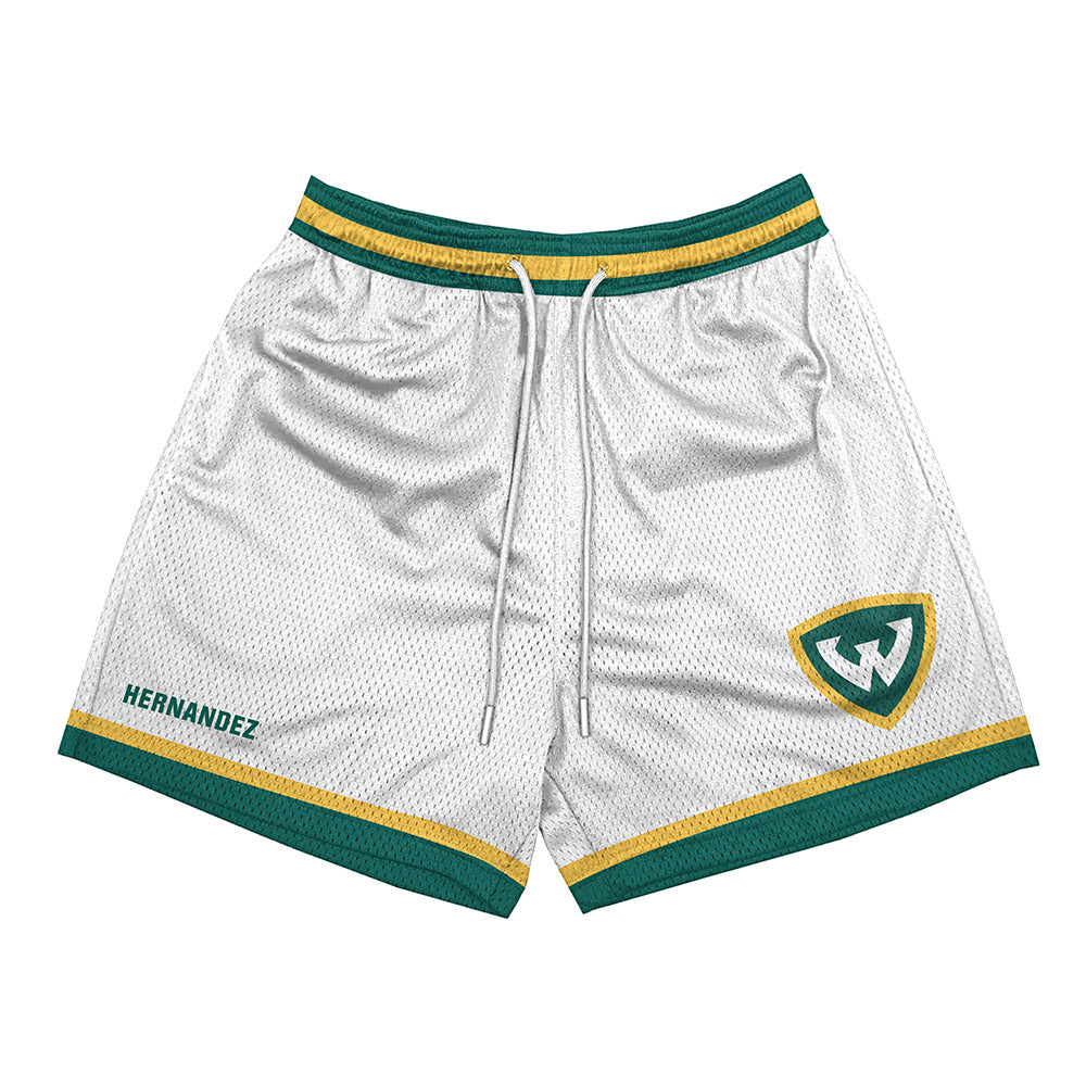 Wayne State - NCAA Men's Swimming & Diving : Matthew Hernandez - Shorts-0