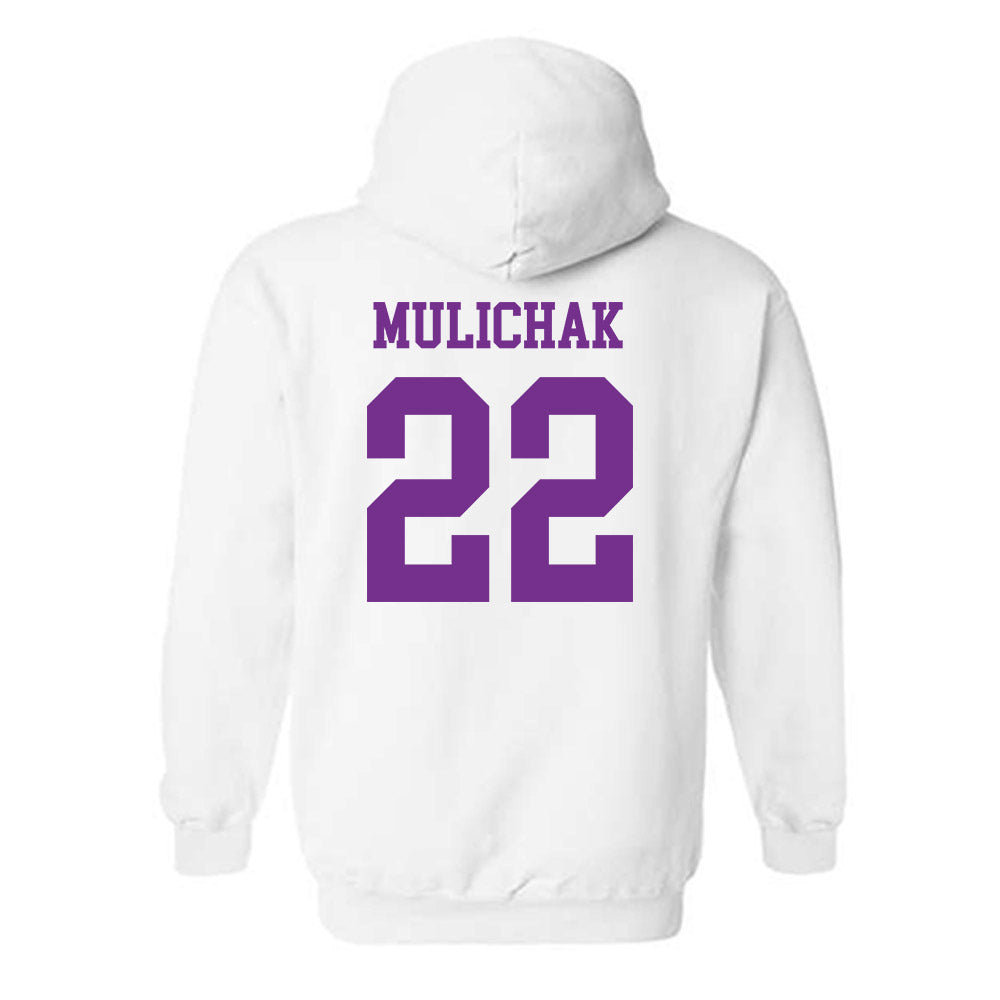 Mount Union - NCAA Men's Soccer : Ethan Mulichak - Classic Shersey Hooded Sweatshirt-1