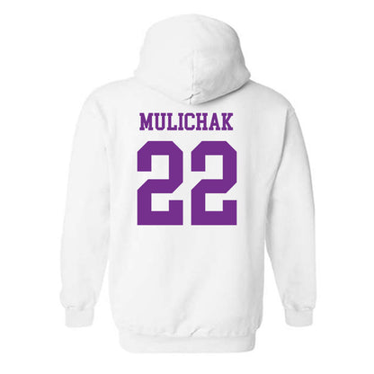 Mount Union - NCAA Men's Soccer : Ethan Mulichak - Classic Shersey Hooded Sweatshirt-1