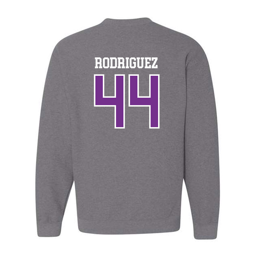 Mount Union - NCAA Men's Basketball : Darius Rodriguez - Classic Shersey Crewneck Sweatshirt-1