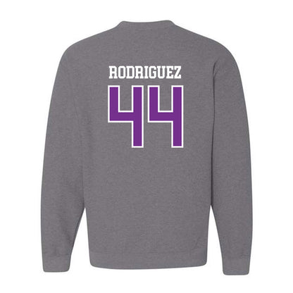 Mount Union - NCAA Men's Basketball : Darius Rodriguez - Classic Shersey Crewneck Sweatshirt-1