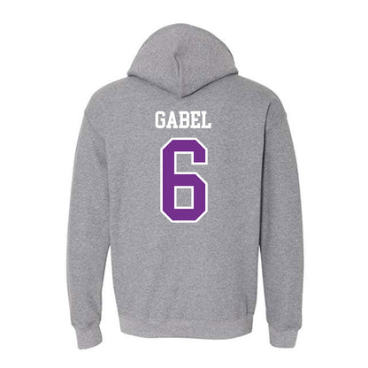 Mount Union - NCAA Men's Volleyball : Peyton Gabel - Classic Shersey Hooded Sweatshirt-1