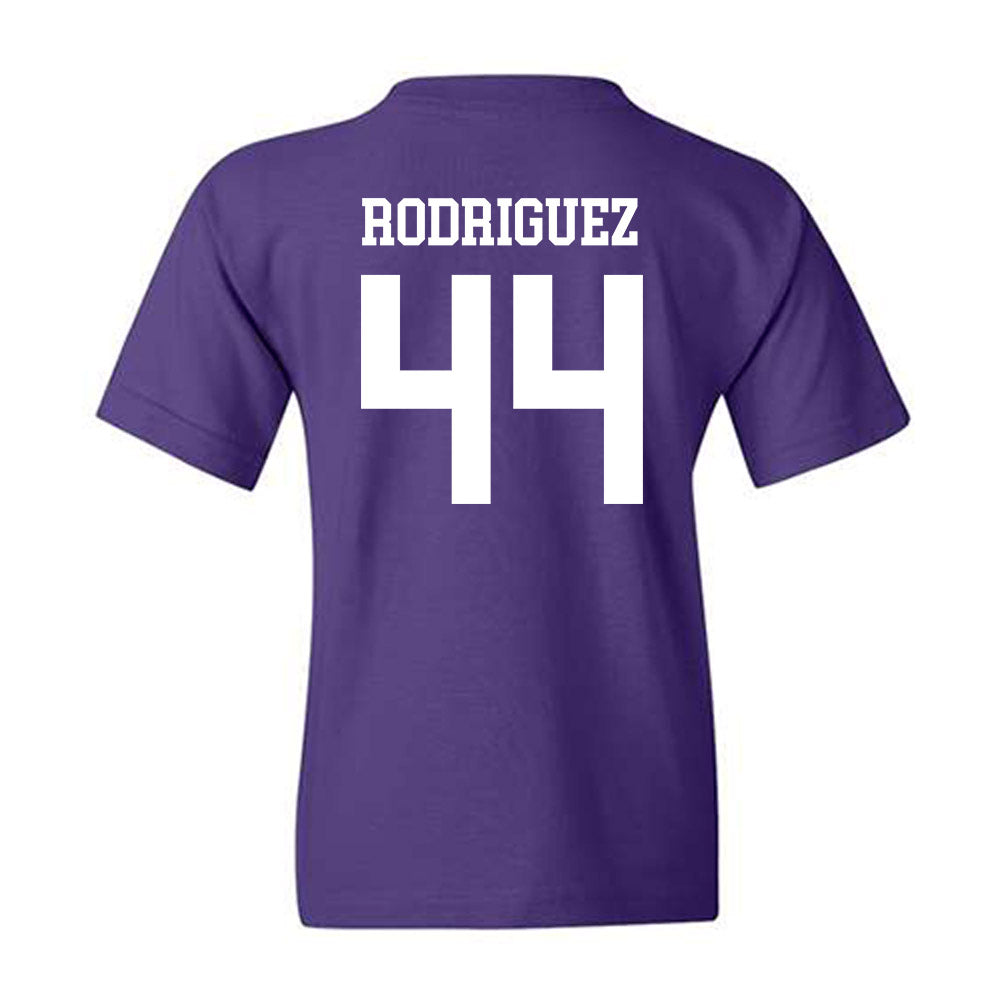 Mount Union - NCAA Men's Basketball : Darius Rodriguez - Classic Shersey Youth T-Shirt-1