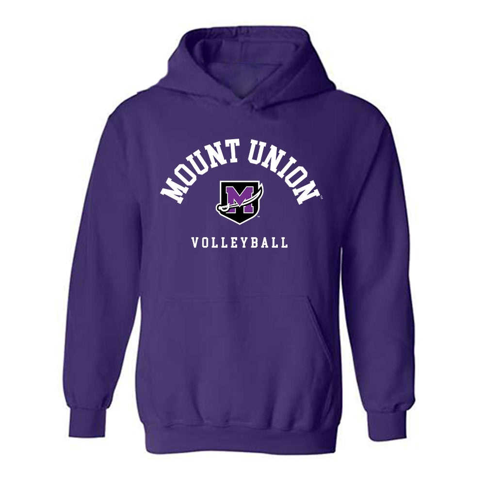 Mount Union - NCAA Men's Volleyball : Peyton Gabel - Classic Shersey Hooded Sweatshirt-0