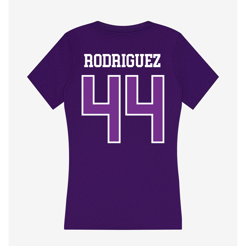 Mount Union - NCAA Men's Basketball : Darius Rodriguez - Women's V-Neck T-Shirt-1