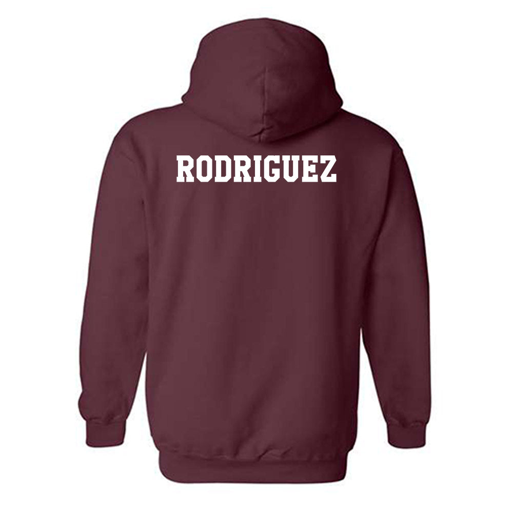 Texas A&M - NCAA Equestrian : Dylanne Rodriguez - Classic Shersey Hooded Sweatshirt-1