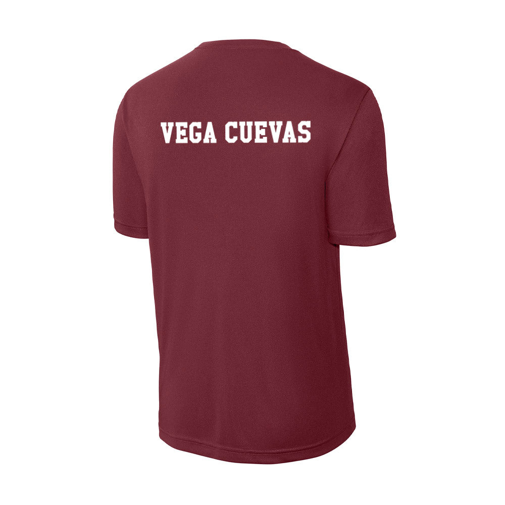 Texas A&M - NCAA Men's Swimming & Diving : Maximiliano Vega Cuevas - Activewear T-Shirt-1