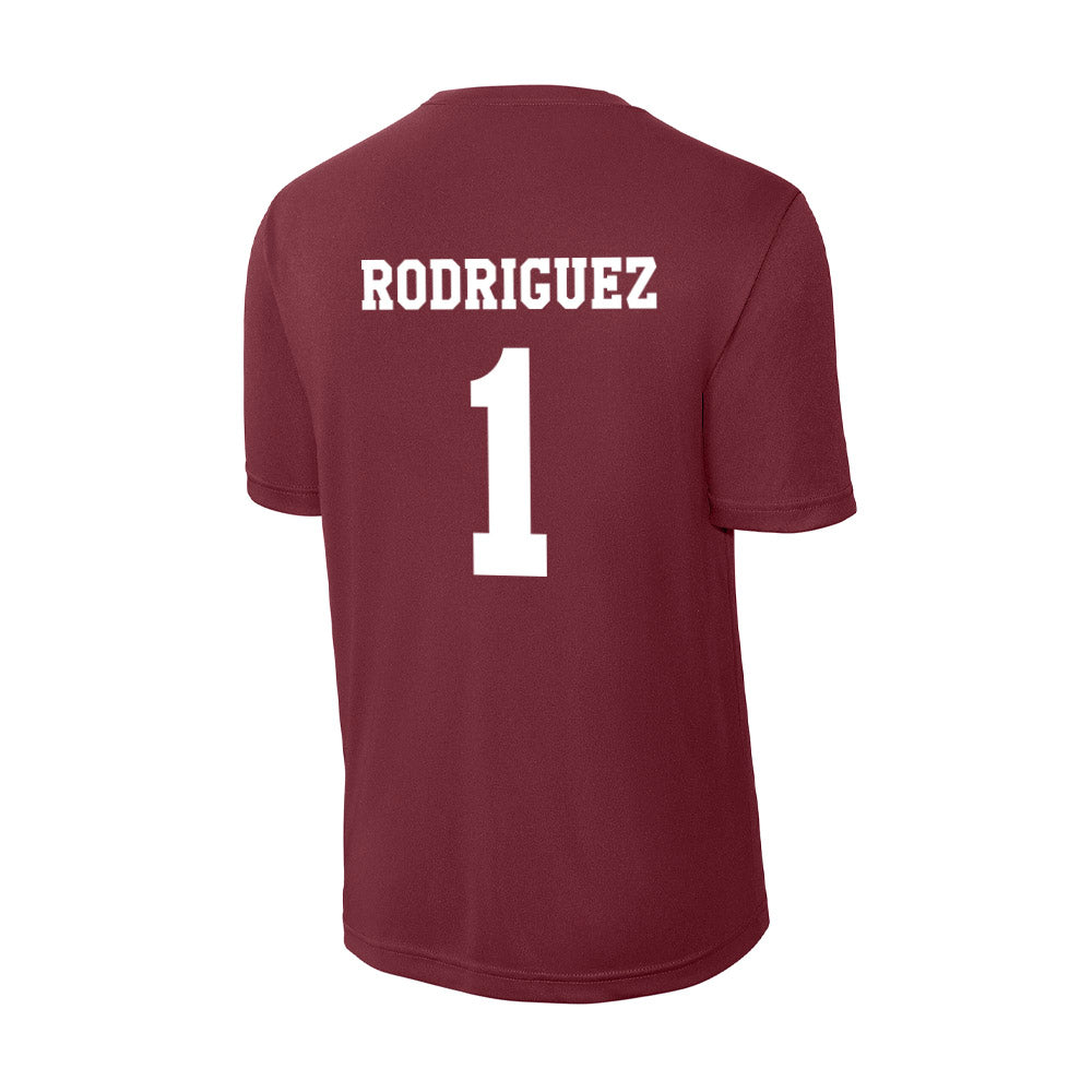 Texas A&M - NCAA Women's Volleyball : Gabi Rodriguez - Activewear T-Shirt-1