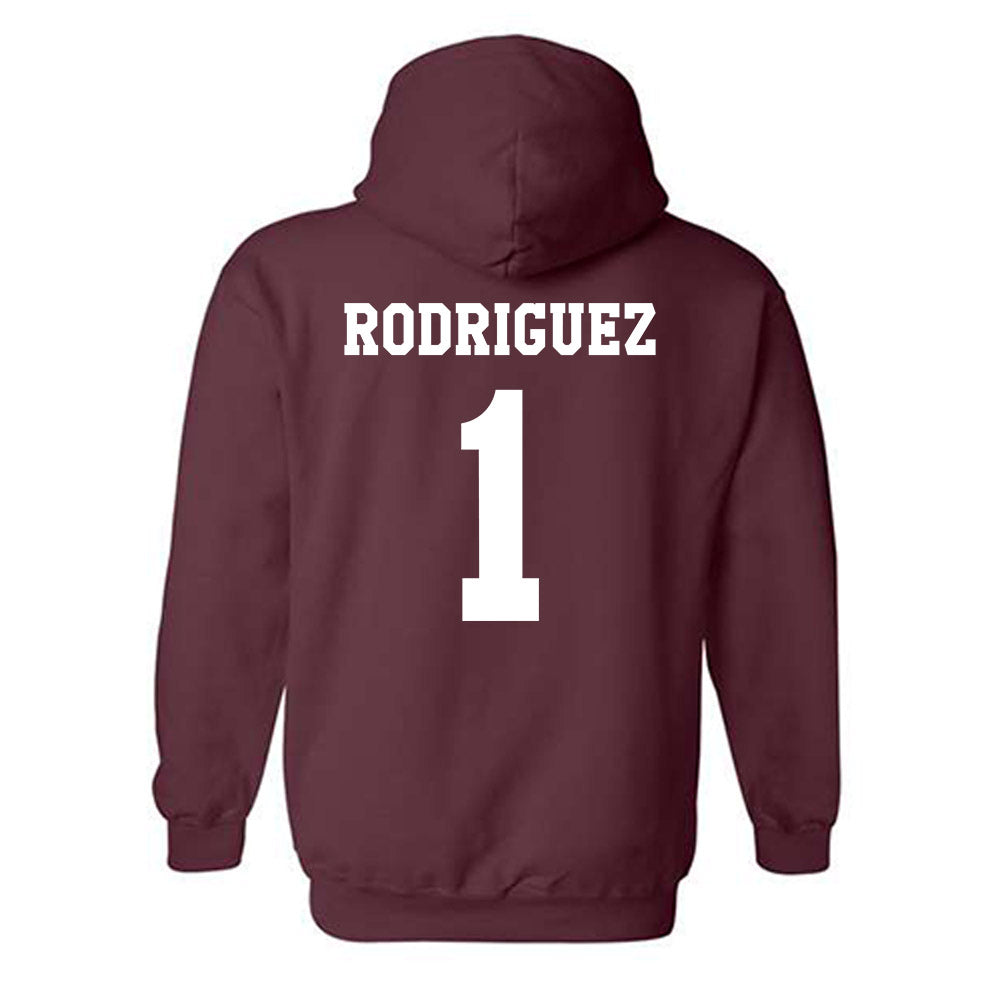 Texas A&M - NCAA Women's Volleyball : Gabi Rodriguez - Classic Shersey Hooded Sweatshirt-1