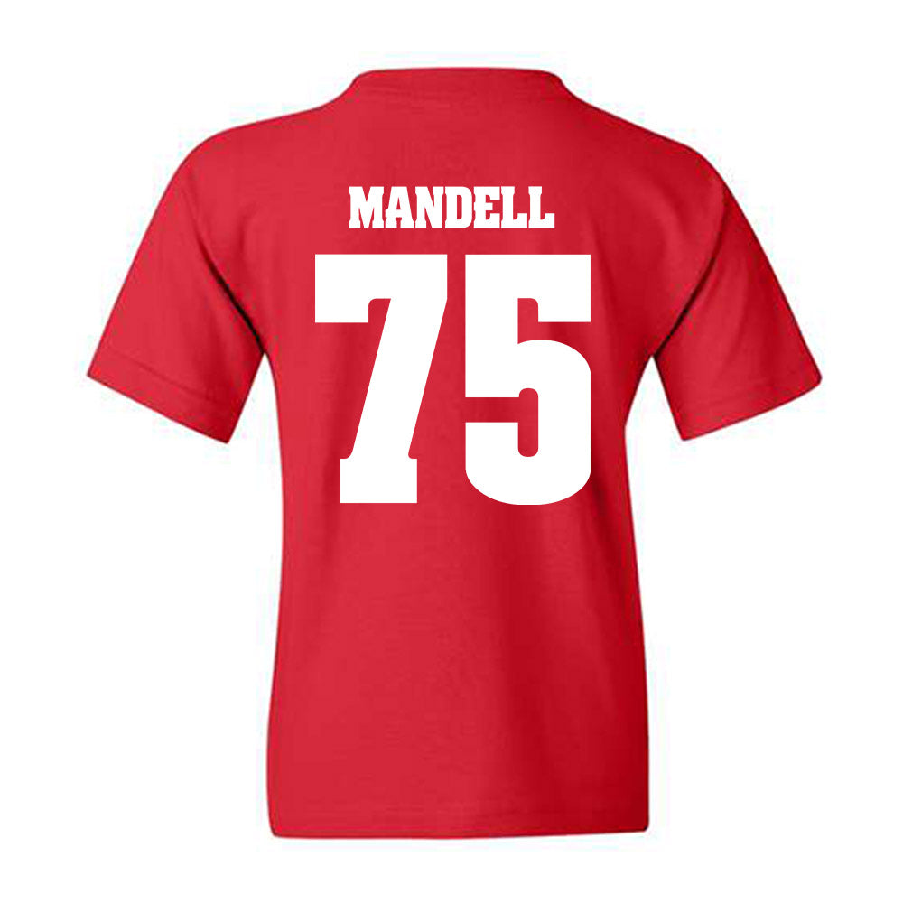 Wisconsin - NCAA Football : Emerson Mandell - Classic Shersey Youth T-Shirt-1