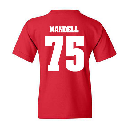 Wisconsin - NCAA Football : Emerson Mandell - Classic Shersey Youth T-Shirt-1