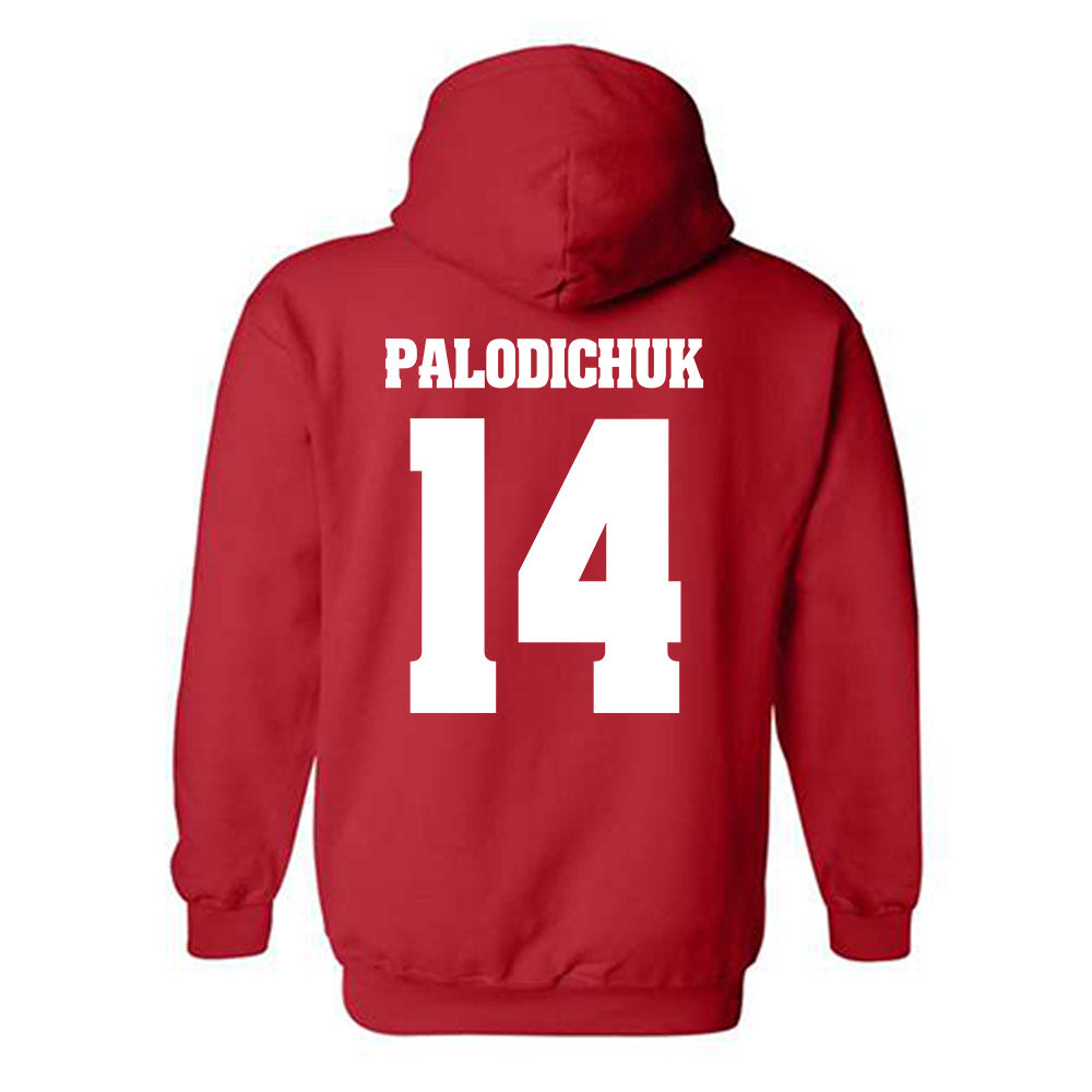 Wisconsin - NCAA Men's Ice Hockey : Joe Palodichuk - Classic Shersey Hooded Sweatshirt-1