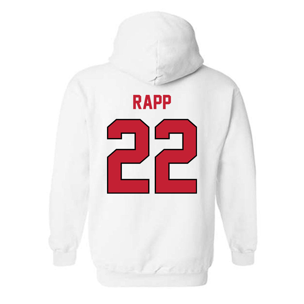 Wisconsin - NCAA Men's Basketball : Austin Rapp - Classic Shersey Hooded Sweatshirt-1