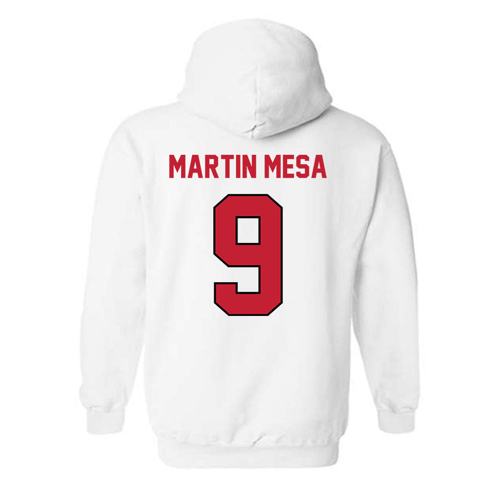 Wisconsin - NCAA Women's Basketball : Alba Martin Mesa - Classic Shersey Hooded Sweatshirt-1