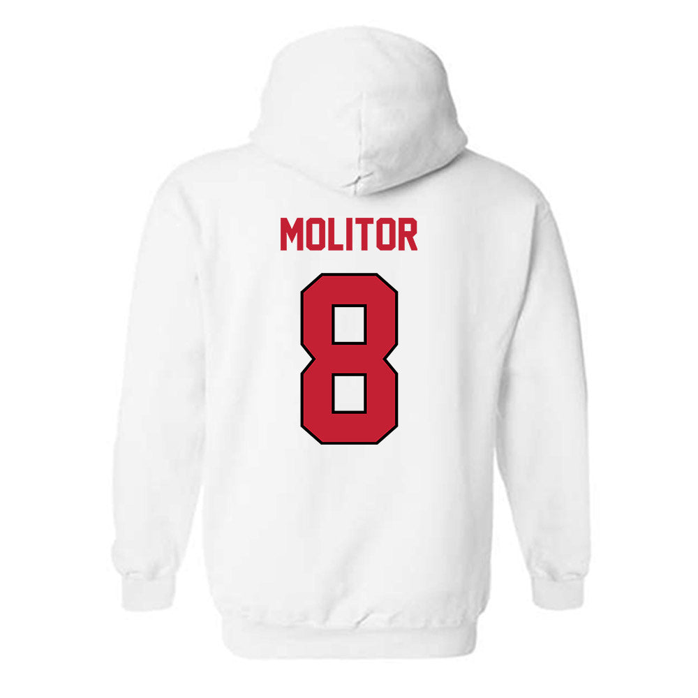 Wisconsin - NCAA Softball : Kylee Molitor - Classic Shersey Hooded Sweatshirt-1