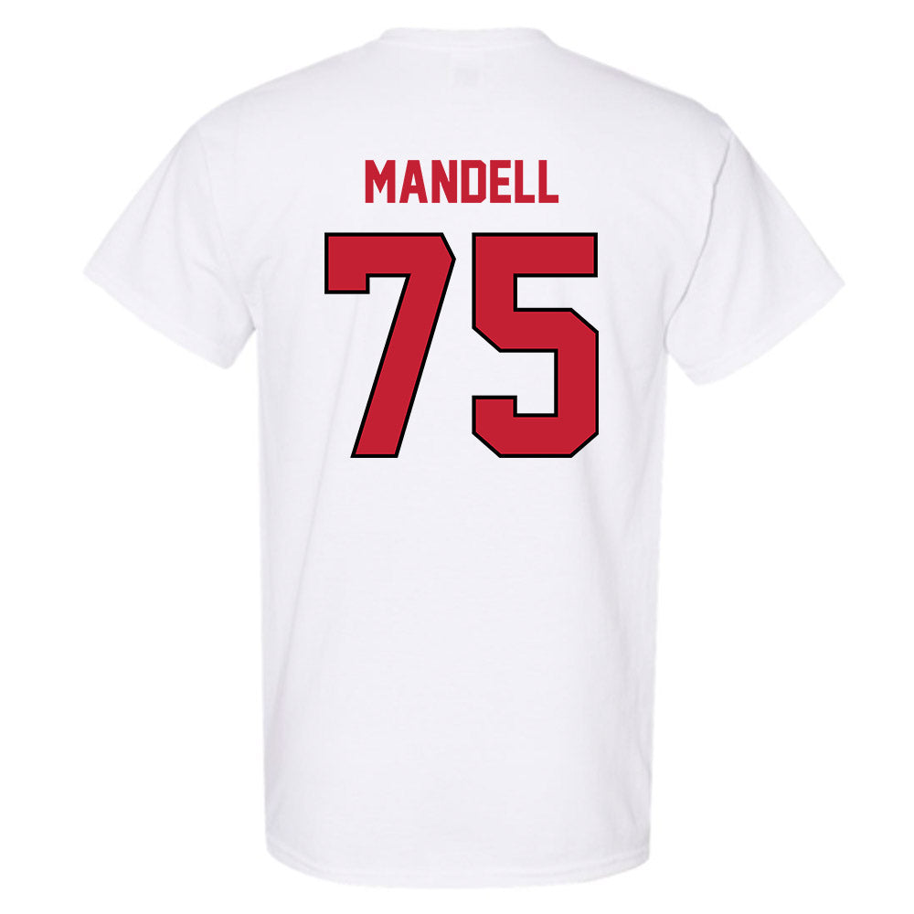 Wisconsin - NCAA Football : Emerson Mandell - Classic Shersey T-Shirt-1