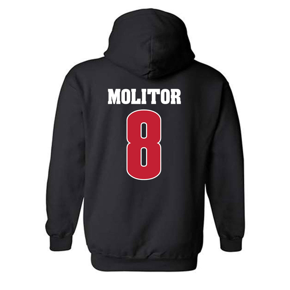 Wisconsin - NCAA Softball : Kylee Molitor - Classic Shersey Hooded Sweatshirt-1